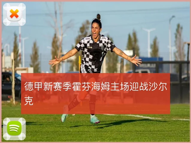 德甲新赛季霍芬海姆主场迎战沙尔克